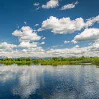 ... :: Жора Житников