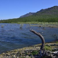 Большая вода :: Александр Хаецкий