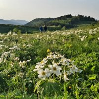 ПЛАТО ЛАГОНАКИ :: Tata Wolf