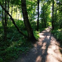 Жарко, конечно, но в парке всё же не +35 :: Андрей Лукьянов Жарко, конечно, но в парке всё же не +35 :: Андрей Лукьянов