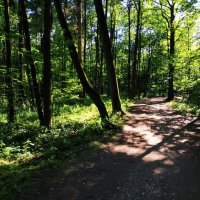 Жарко, конечно, но в парке всё же не +35 :: Андрей Лукьянов