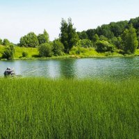 О любителях рыбной ловли (репортаж из поездок по области). :: Милешкин Владимир Алексеевич 