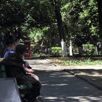Отдыхают :: Юрий Гайворонскiий