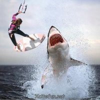 "Я вам дам последний кадр ! "(С) :: Валерий Кокорев