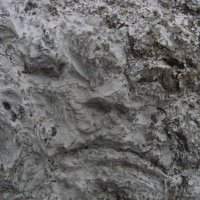 . :: Александр Хоменко