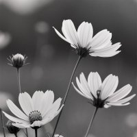 на лугу :: Michel 