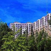 Июль...Зеленый уголок Нефтеюганска! :: Владимир 