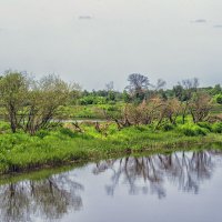 По берегам реки :: Сергей Цветков