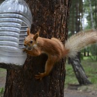 Моя банка :: Геннадий Супрун Моя банка :: Геннадий Супрун