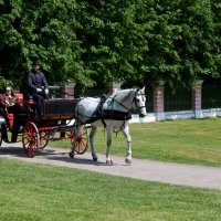 Москва. Усадьба Кусково. :: Наташа *****