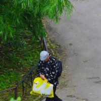 Вместе с Яндексом и домой... :: Юрий Куликов