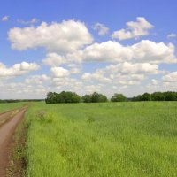 По просёлкам лета... :: Андрей Заломленков