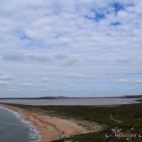 Природа Крыма :: Amazing Cosmea