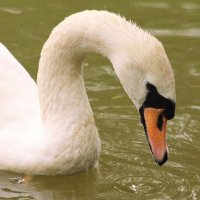 Лето. Утро на ферме. :: Арина Невская