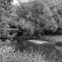 ***** :: юрий поляков