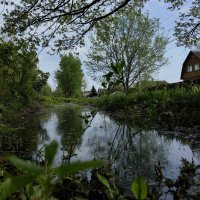 Май в деревне :: Светлана 13.06.