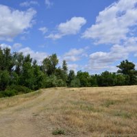 Мои дороги. :: Виктор 