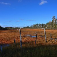 ** :: Александр Хаецкий