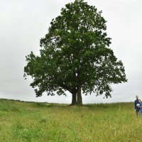 без названия. :: Харис Шахмаметьев без названия. :: Харис Шахмаметьев