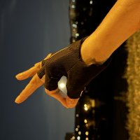 Хищные птицы :: Анна Камс