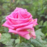 ,,, :: Сергей Тимоновский