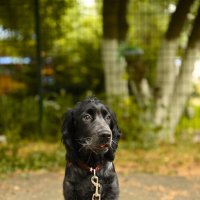 Джек :: Вячеслав Дроздов