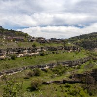 Берёзовая балка :: Gen 