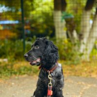 Джек :: Вячеслав Дроздов