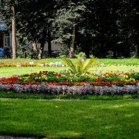 Солнечная лужайка,,, :: Анатолий Колосов Солнечная лужайка,,, :: Анатолий Колосов