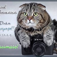 С Днём фотографа! :: Ольга Довженко
