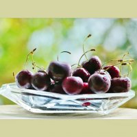 ВИШНИ... :: Elvira E. 