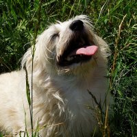 Ой !!! :: kolyeretka Ой !!! :: kolyeretka