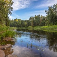 **** :: Елизавета .