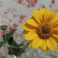 Talgar. :: Murat Bukaev 