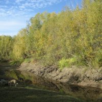 Осень :: Anna Ivanova