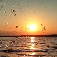 Красота в глазах смотрящего :: светлана льдокова