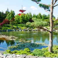 Японский сад. Парк Галицкого "Краснодар" :: Alexey YakovLev