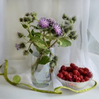 *** :: Надежда Куркина 