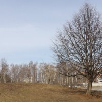 "Ранняя весна" :: Максим Орлов (VK)