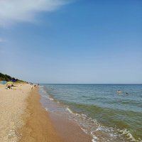 С днем фотографа, друзья! :: Татьяна Пальчикова С днем фотографа, друзья! :: Татьяна Пальчикова