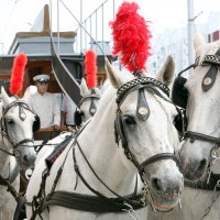 Парад исторических трамваев на пл Ильича 12 июля :: Михаил Бибичков