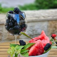 Сочное лето. :: Галина Левина