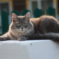 .. :: Елена Сиднина .. :: Елена Сиднина