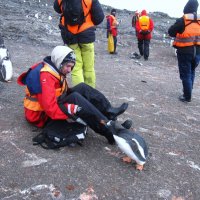 - Чего сидим! Принёс чего-нибудь вкусненького? :: unix (Илья Утропов)