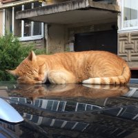 Всем спокойной ночи... :: Владимир Павлов Всем спокойной ночи... :: Владимир Павлов