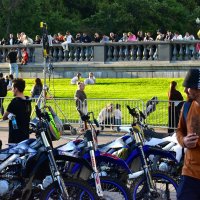 Скоро будет шоу. :: Наталья Вязигина