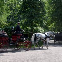 Москва. Усадьба Кусково. :: Наташа ***** Москва. Усадьба Кусково. :: Наташа *****