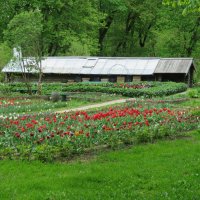 Теплица усадьбы Ясная Поляна :: ИРЭН@ . Теплица усадьбы Ясная Поляна :: ИРЭН@ .