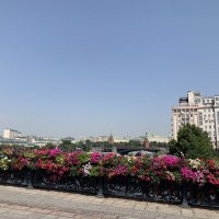 Москва летом :: Alexandra Sakharova