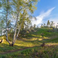 Майское утро на перевале. :: Алексей Трухин